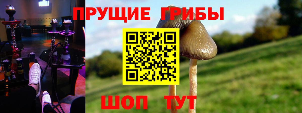Новошахтинск  Галлюциногенные грибы ЛСД  Вход с VPN 